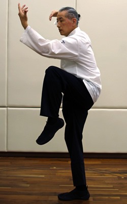 大石将博 全日本柔拳連盟指導員