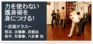 力を使わない護身術を身につける　ー武術クラスー　気功、太極拳、武器法、推手、形意拳、八卦掌 他