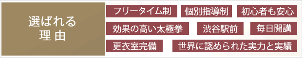 当連盟10の特徴　最高の太極拳を、最も習得しやすい形で学べます。