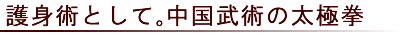 護身術として。中国武術の太極拳
